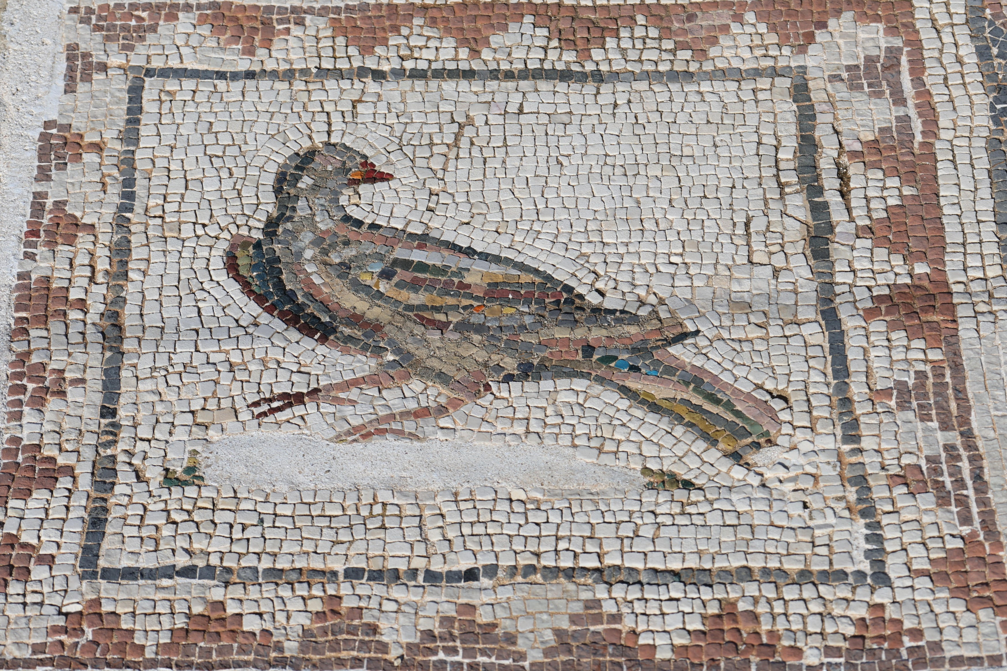 Italica